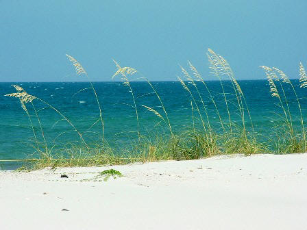 scenic view from St George Island State park in Florida